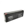 Batterie plomb rechargeable IZYX FX122.1 - 12V 2.1Ah. Format standardisé. Idéal remplacement dans alimentations secourues ou pour l'option secours batterie.